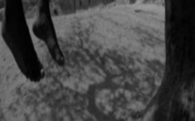 Recrudescence des cas de suicides au Sénégal: les causes d’un phénomène qui emporte surtout les jeunes 