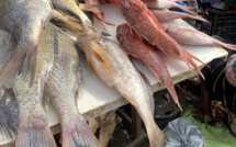 Marché Castor : à quelques jours du ramadan, les prix des denrées jugés stable, mais le poisson se fait rare