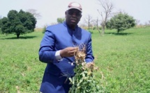 Campagne agricole : le budget passe de 60 à 70 milliards F Cfa (Macky Sall)