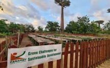 Madagascar se dote d'un guide pratique pour réussir les initiatives de reforestation