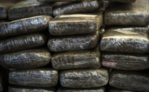 Pénurie de Yamba en vue dans la banlieue: la police saisit 1,5 tonne de chanvre indien