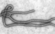 Epidémie d'Ebola en Guinée, plusieurs morts annoncés