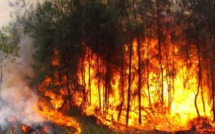 Podor: trois (3) personnes mortes dans un feu de brousse
