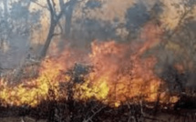 Incendie à Podor : le bilan s’alourdit et passe à 4 morts
