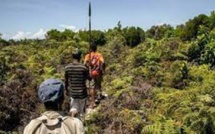 Madagascar: des citoyens se mobilisent après l'assassinat d'un protecteur de l'environnement