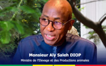 Tabaski 2022: en raison de l'embargo sur le Mali, le Sénégal se rabat sur la Mauritanie pour s'approvisionner en moutons