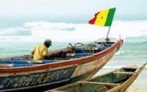Migration : une pirogue remplie de Sénégalais accoste aux îles des Canaries