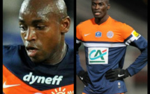Montpellier : Courbis ne veut plus de Mbaye Niang, ni de Souleymane Camara