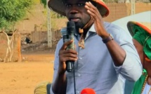 Ousmane Sonko, le Robin des bois sénégalais ? Par Birame Waltako Ndiaye