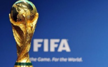 L’Argentine, le Chili, le Paraguay et l'Uruguay candidats pour accueillir le mondial 2030