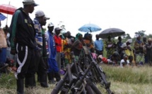 RDC: deuxième étape du désarmement des FDLR