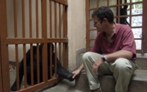 RDC: le pétrolier Socco s’engage à se retirer du parc des Virunga