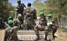 La Force de réaction rapide, serpent de mer des sommets de l’UA