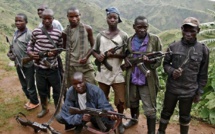 Quel retour possible pour les ex-FDLR au Rwanda ?