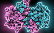 RDC : quatre personnes mortes d’Ebola