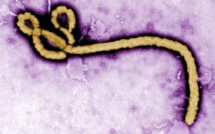 Ebola: le redoutable, « MONSTRE » vient de déposer ,ses baluchons au Sénégal. Qu'en pensent les Sénégalais...