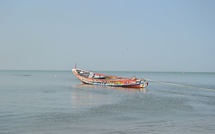 Encore un chavirement de pirogue : le fleuve Casamance engloutit sa 4ème victime en 5 jours