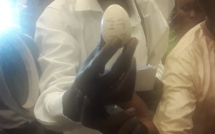 Procès Karim Wade - le Mystique s'invite dans la salle: Un oeuf