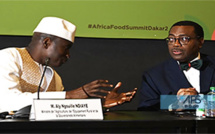 Pacte souveraineté alimentaire: la BAD finance le Sénégal à hauteur de 1, 5 milliards de dollars