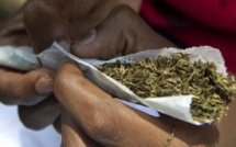 Diokoul : pour la détention de 500 kg de yamba, 3 pêcheurs risquent 10 ans de réclusion criminelle