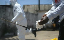 Ebola: le Nigeria envoie 600 agents de santé