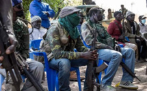 Casamance : Une faction du MFDC répond favorablement à l'appel de Macky