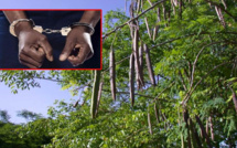 Du nouveau dans l'affaire du contrôleur des Impôts dépouillé de 34 millions F Cfa 