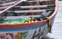 Une bataille rangée entre des pêcheurs de Mboro et ceux de Cayer fait plusieurs blessés