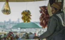 Ebola: 4 milliards de perte pour l’Afrique