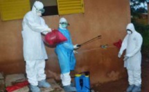 Ebola : "C'est stable en Guinée" (OMS)