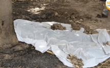 Femme retrouvée calcinée à Tivaouane : le présumé meurtrier arrêté