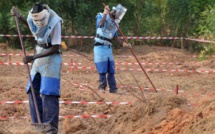 Casamance: Plusieurs zones libérées des mines et des restes explosifs de guerre (gouverneur)