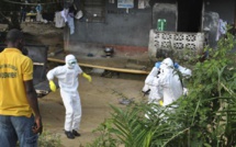 En 2014, l'Afrique de l'Ouest durement marquée par Ebola