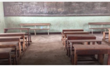 Suspension des cours en  Casamance : « c'est inacceptable », selon Pape Djibril Fall