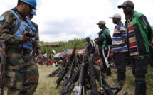 RDC: nouvelles redditions de combattants FDLR dans l’est du pays