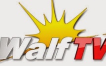 Le Signal de Walf TV sur TNT coupé