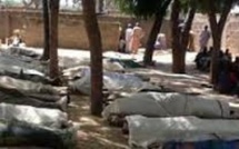 Nigeria : des images satellite sur l'attaque de Boko Haram contre Baga 