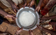 Crise alimentaire dans le Sahel en 2023 : 1,3 million de Sénégalais en situation d’urgence  