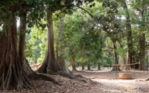 Casamance: enlevé depuis janvier, l'Asp Barthélémy Diatta retrouvé mort, son corps criblé de balles 