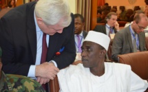 Niger: une force mixte multinationale pour lutter contre Boko Haram