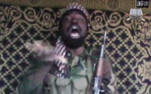 Boko Haram: l'Union africaine pour une force régionale de 7.500 hommes