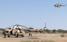 Nigeria: l'armée tchadienne reprend la ville de Gamboru à Boko Haram