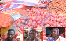 Commercialisation de l'oignon au Sénégal : les vraies raisons d'une hausse effrénée du prix 