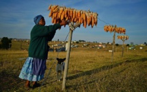 L'Afrique du Sud va se doter d'une nouvelle loi foncière