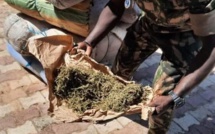 Kolda : 10 ans de réclusion criminelle pour deux trafiquants de chanvre indien arrêtés en 2020