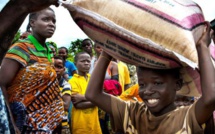 Ebola: le Liberia face au défi de la relance agricole