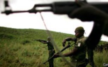 RDC: l'opération contre les FDLR débute