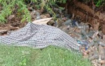 Corniche Ouest Dakar: le corps sans vie d’un homme retrouvé dans les buissons 