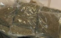 ​Trafic de chanvre indien : plus d’une tonne de Yamba incinéré à Mbour