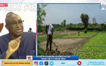 Foncier au Sénégal : « si les terres sont cédées aux investisseurs étrangers, on atteindra pas l'autosuffisance alimentaire », selon Amadou Kanouté